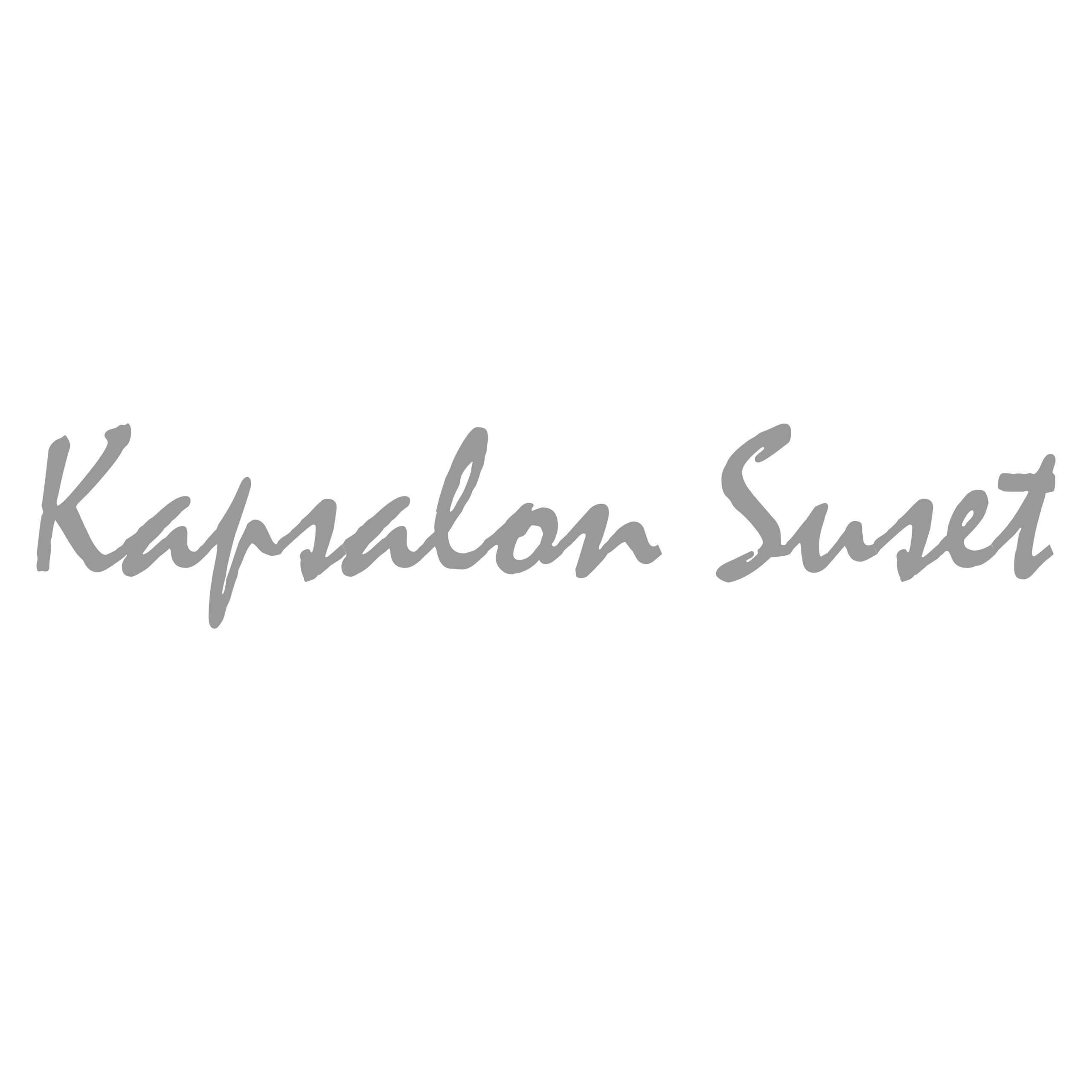 Kapsalon Suset